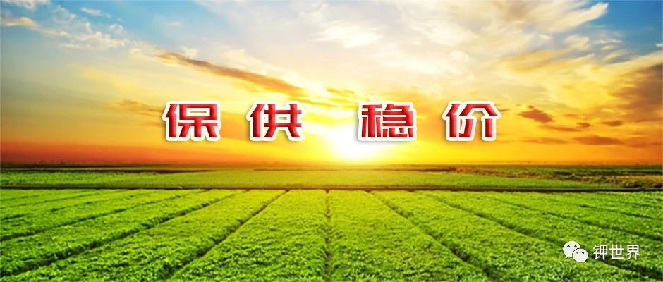 警惕：肥市保供有壓力，價格暫仍挺高處