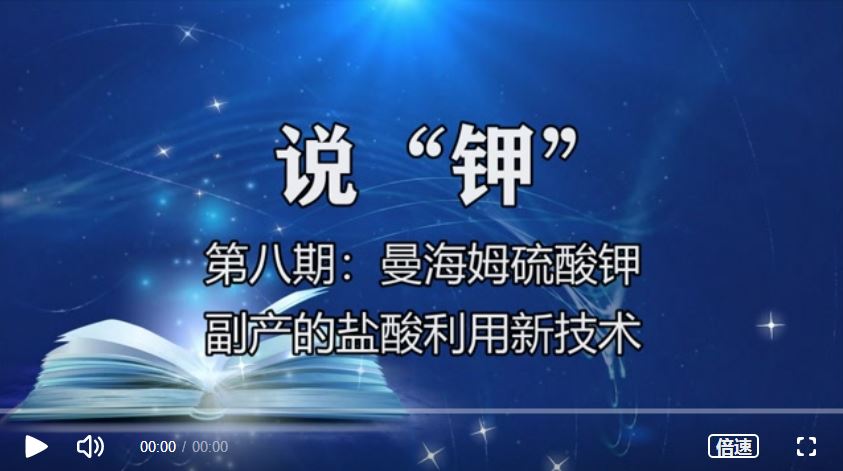 《說“鉀”》第八期：以曼海姆等工業(yè)副產(chǎn)鹽酸為原料的新技術(shù)簡介