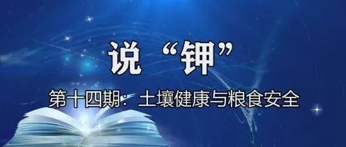 《說(shuō)“鉀”》第十四期：糧食安全◆土壤健康◆有機(jī)小分子