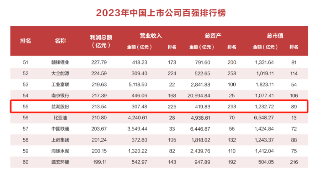 2023中國上市公司百強榜：鹽湖股份升至55；藏格礦業(yè)火箭躥升