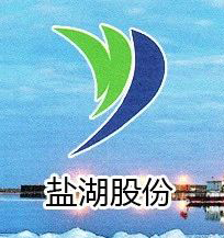 上海鹽湖東信新材料科技有限公司